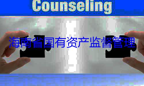 委副书记王资产监督管海南省国有有福接受审理委员会党查调查